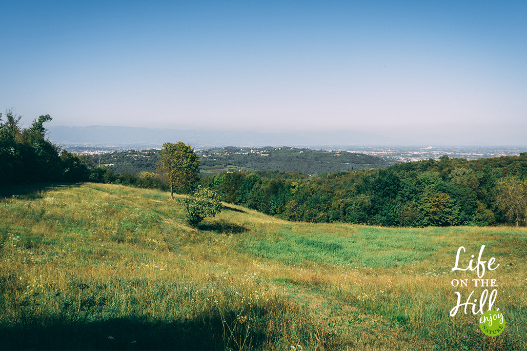 sentiero 15 colli berici